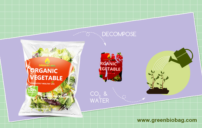 compostable-salad-bag compostable-salad-bag