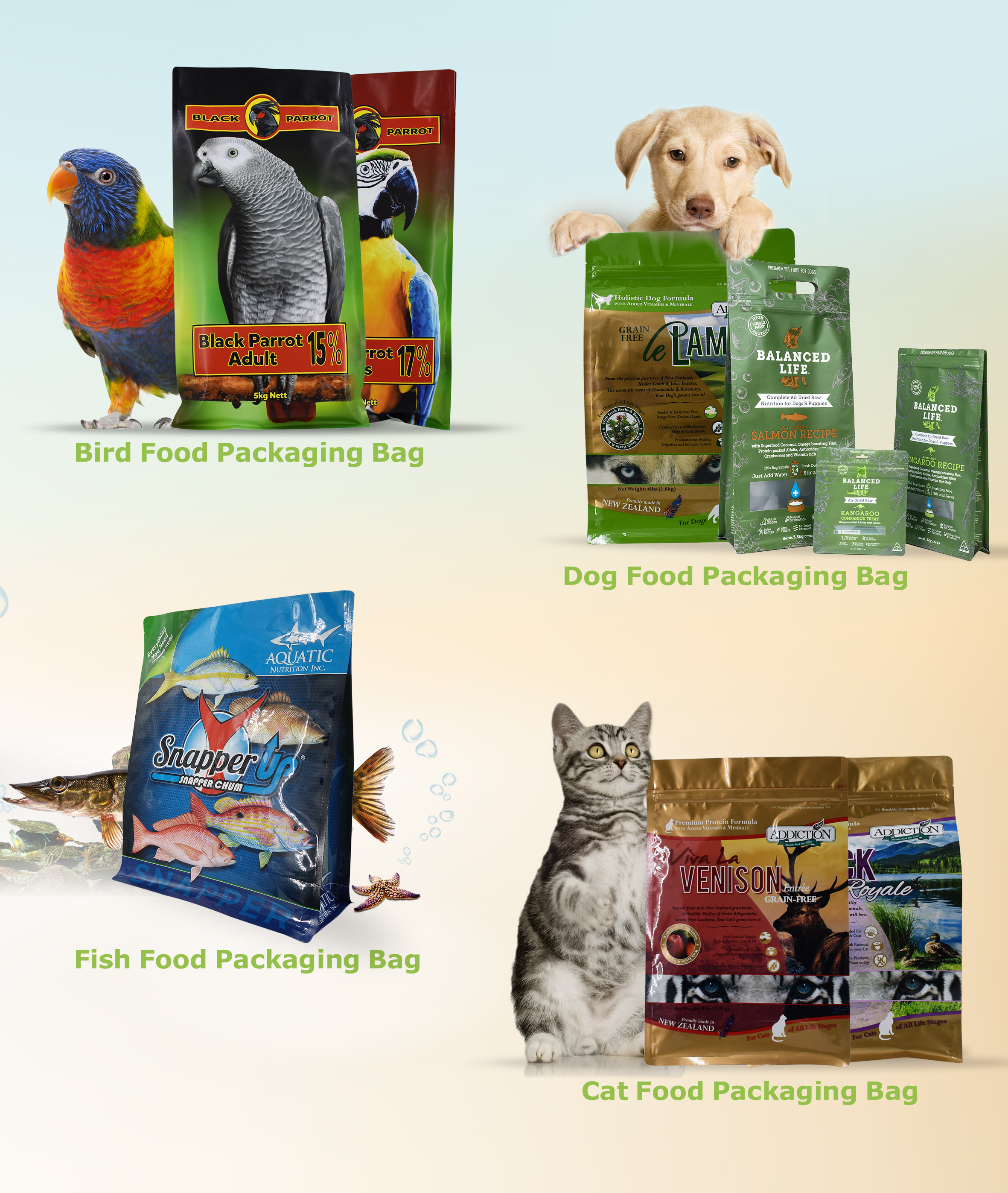 Custom Printing 5kg Flat Bottom Parrot Feed Packaging Pet Food Bag Recycling in Australia Custom Printing 5kg Flat Bottom Parrot Feed Packaging Pet Food Bag Recycling in Australia