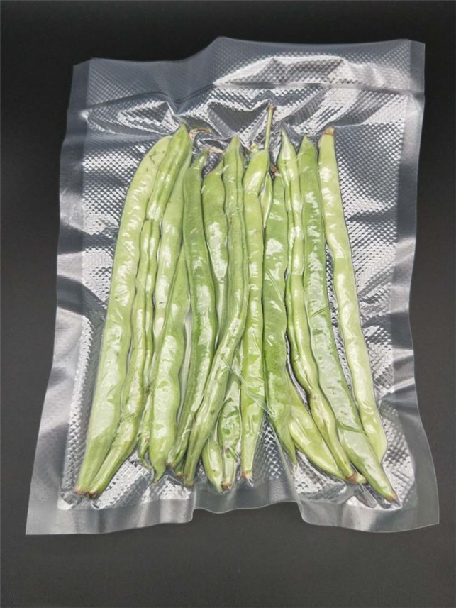 Bio vacuum bag01