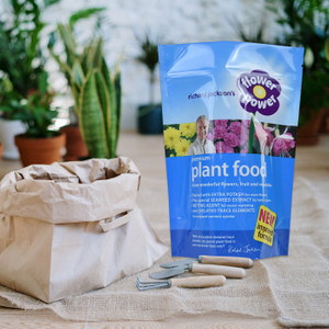 Cheap Sustainable Self Stand Up Pouch Ziplock Blue Sunflower Wildflower Seed Bags