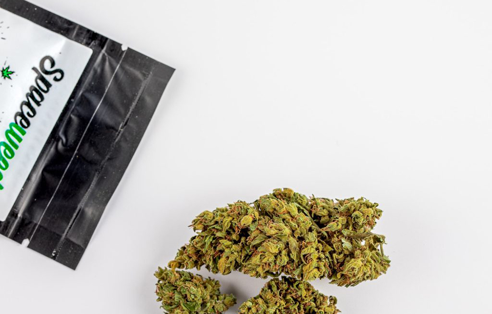 Eco-Friendly Cannabis Bags: Meeting Growing Industry Demand with Sustainable Solutions