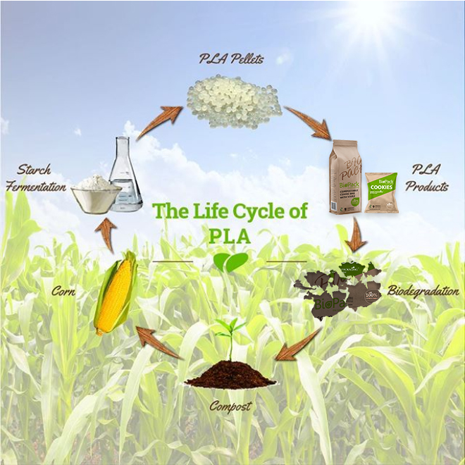 Do cornstarch bags really compost and break down?
