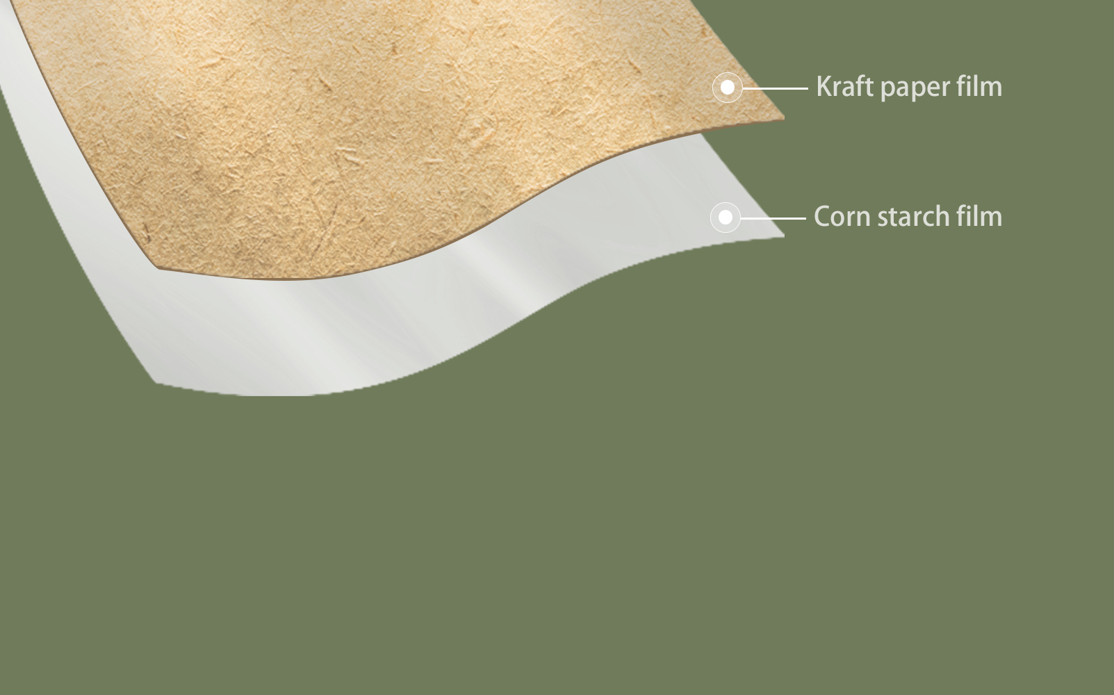Kraft Paper/PBAT