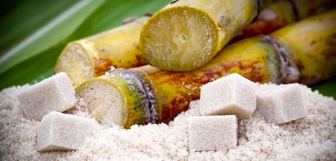 Are cane sugar bags compostable