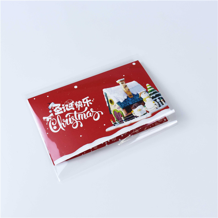 Digital Printing Side Seal Small Single-layer PLA Packaging Bag 