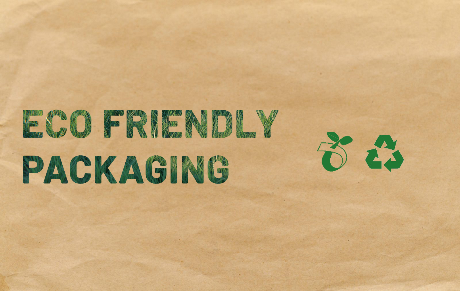 Why Eco Friendly Packaging Is Important