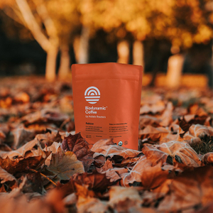 Alibaba Hot Biodegradable & Compostable Stand Up Coffee Bag Doypack