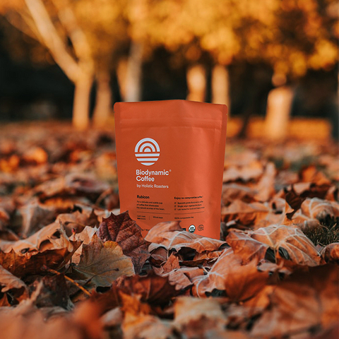 Alibaba Hot Biodegradable & Compostable Stand Up Coffee Bag Doypack