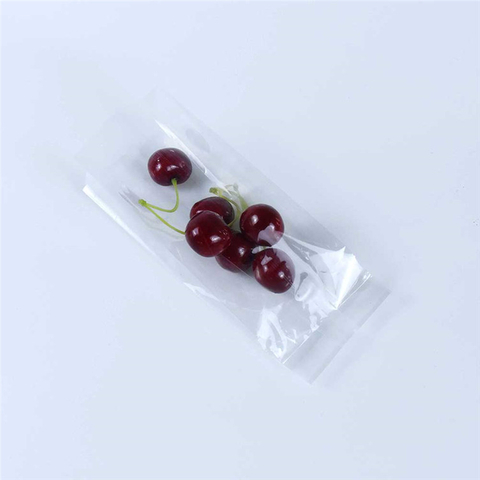 Zipper Sustainable Eco Friendly Pouches Single-layer PLA Bags