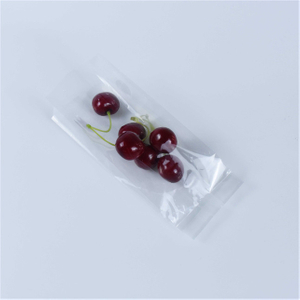 Compostable inner packing PLA clear bags with gusset
