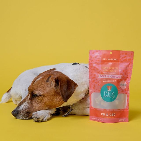 Compostable Sustainable Resealable Natural Dried Pet Food Packaging Bag Suppliers