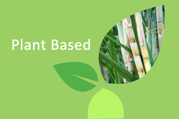 plant-based