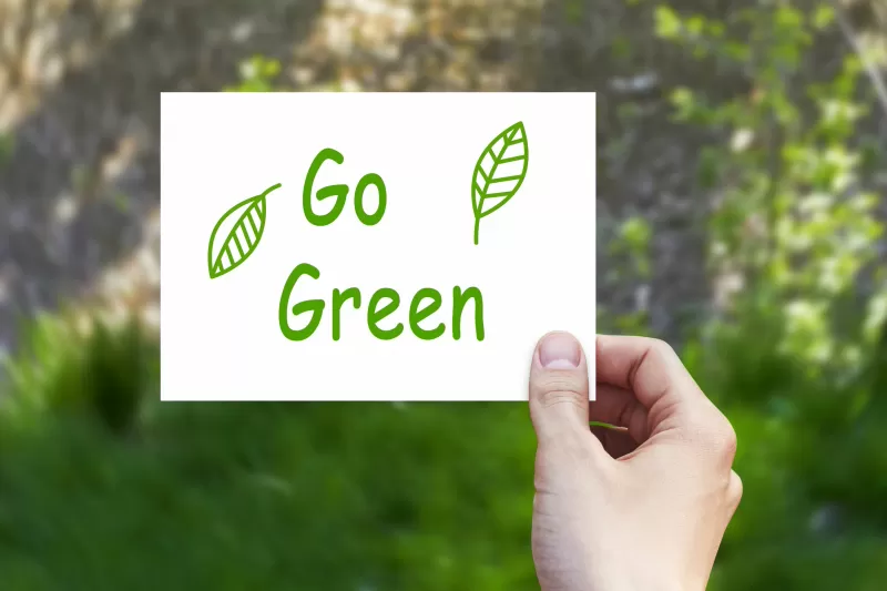 Go to Green and Switch to Sustainable