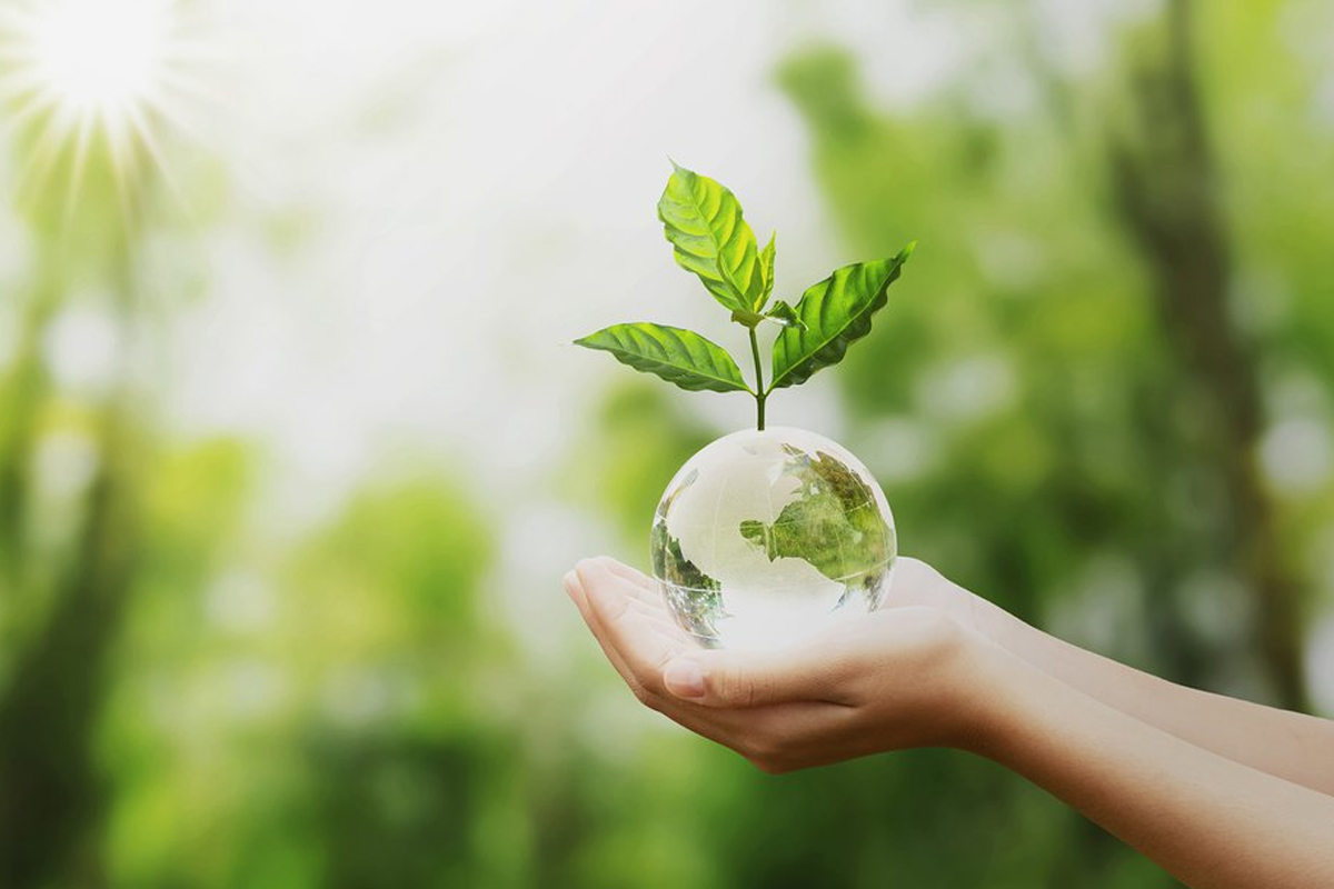 What can we do to protect the environment?