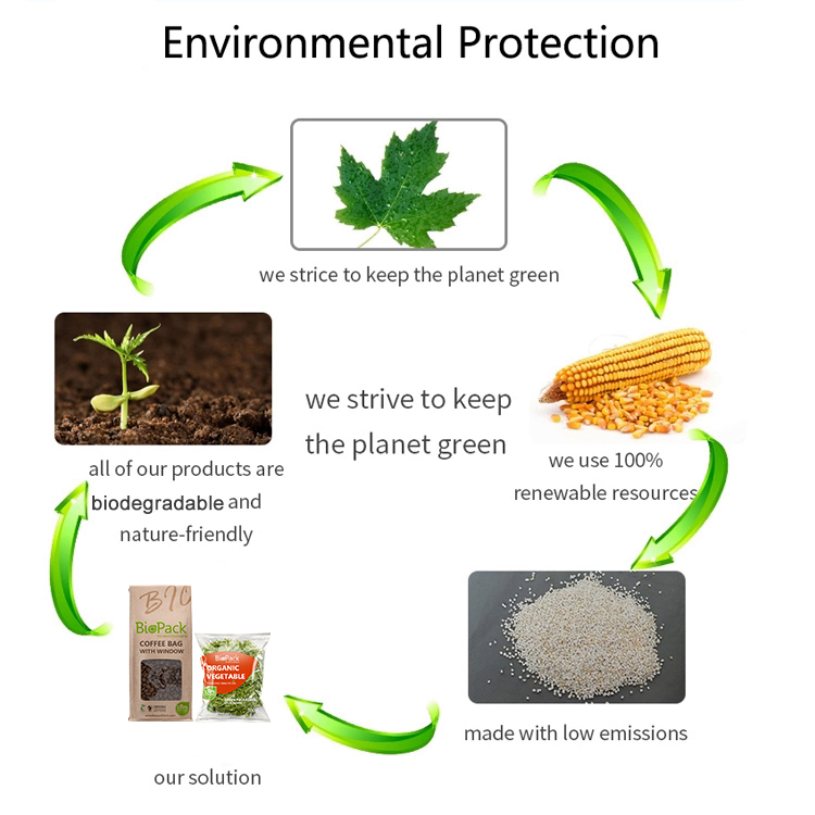 Environmentally friendly packaging solutions