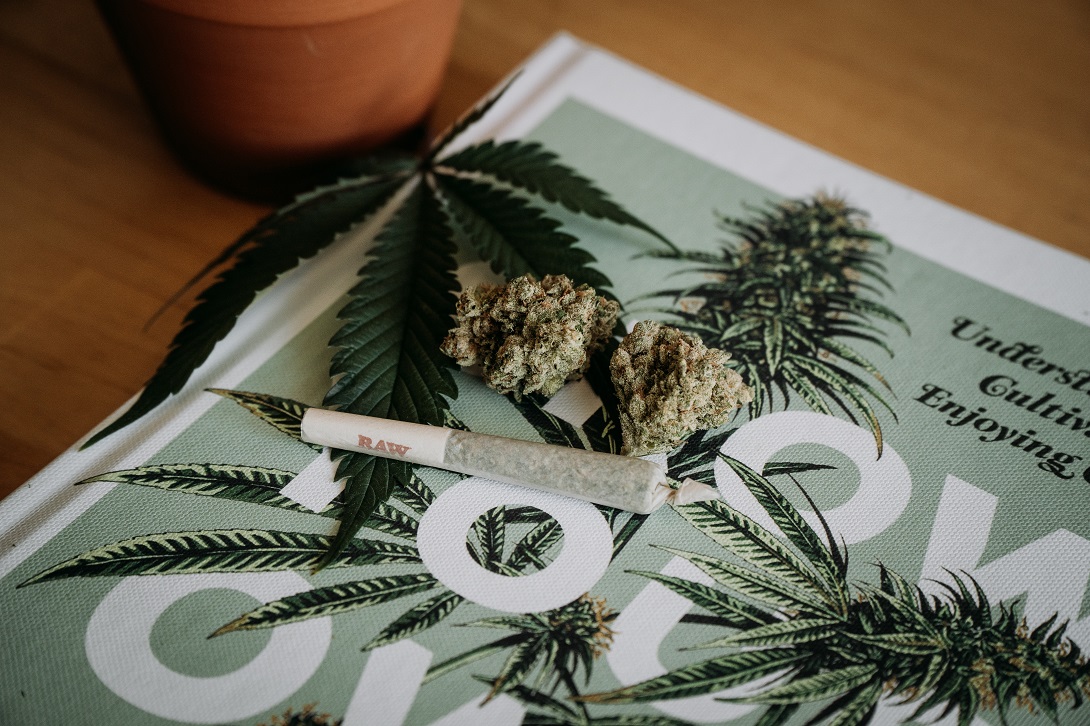 Compostable CR Zipper Bags: A Sustainable Solution for Cannabis Products