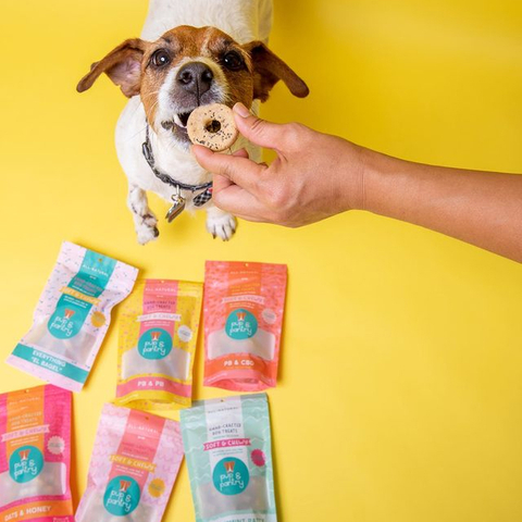 Colorful Printed Recyclable Stand Up Yellow Dog Food Snacks Bag with Zipper