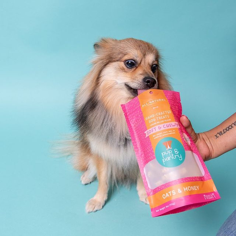 Digital Printing Renewable Recyclable And Sustainable Stand Up Pet Food Dog Treats Bag with Zipper