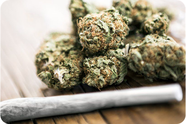 Cannibis
