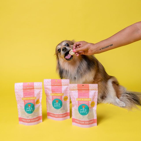 Colorful Digital Printed Recyclable Stand Up Dog Treats Pouch Packaging Bag with Zip Lock