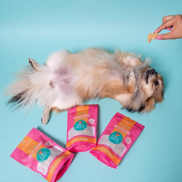 Digital Printing 100% Biodegradable Stand Up Dog Food Bags with Frosted Window