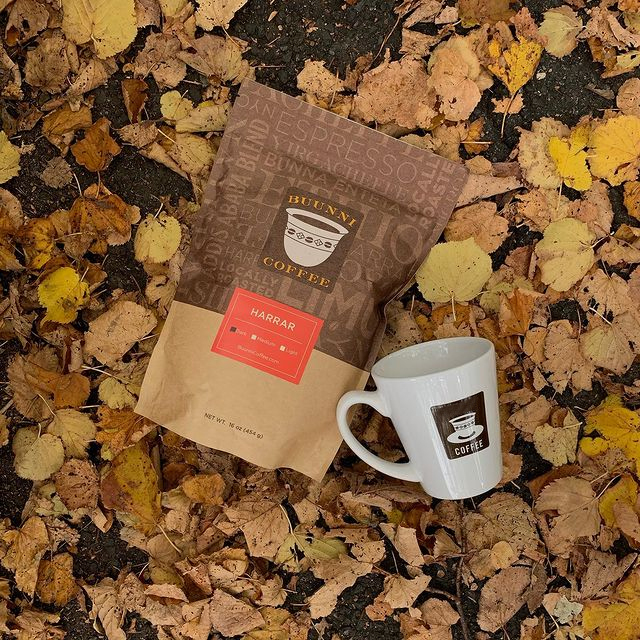 Customized Laminated Food Grade Home Composting Coffee Bag with One-way Valve