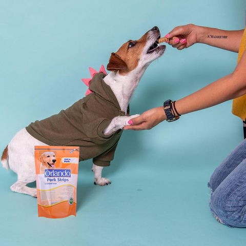 Sustainable Industrial Compostable 100% Biodegradable Pet Food Packaging Dog Treats Bag