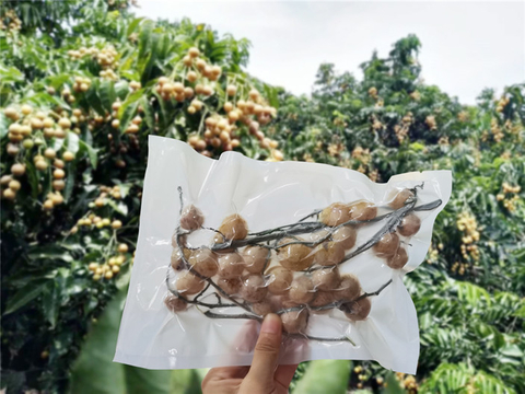 Eco Friendly Biodegradable Transparent Food Grade Vacuum Bags