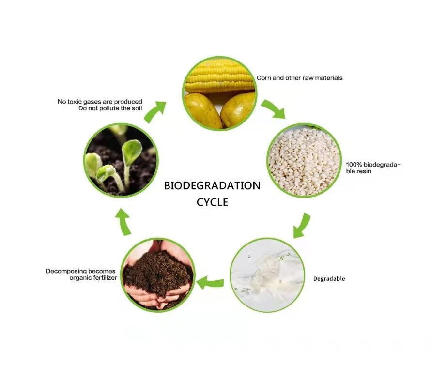 plant based packaging for food