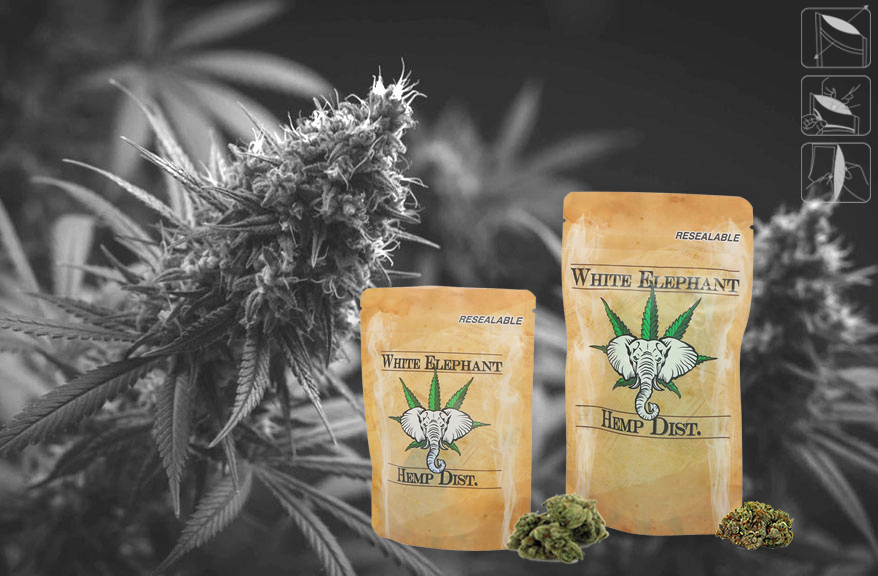 How Sustainable Packaging Can Help Cannabis Brands