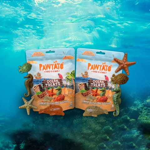 Compostable Stand Up Pet Treat Food Bag with Ziplock in Australia