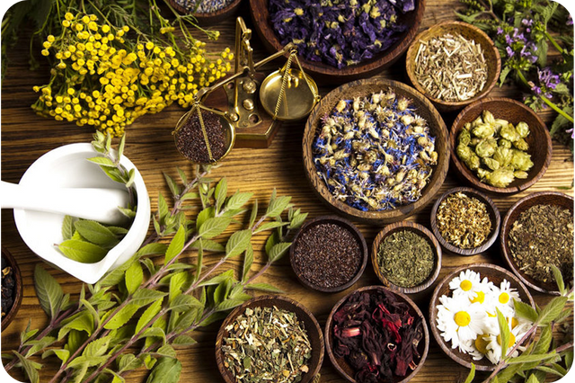 Herbal
