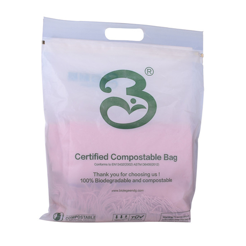 Fashion Retail New Style Renewable Clothes Packaging Bags