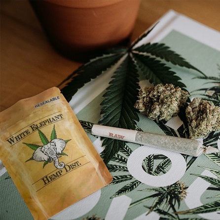 Best Mylar Bags for Each Kind of Cannabis Product