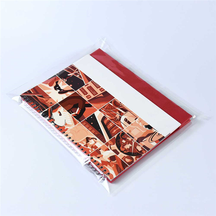 Popular PBAT Materials Plastic Cookies Packaging