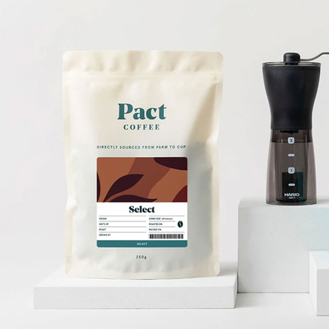 Recyclable Stand Up Coffee Bag