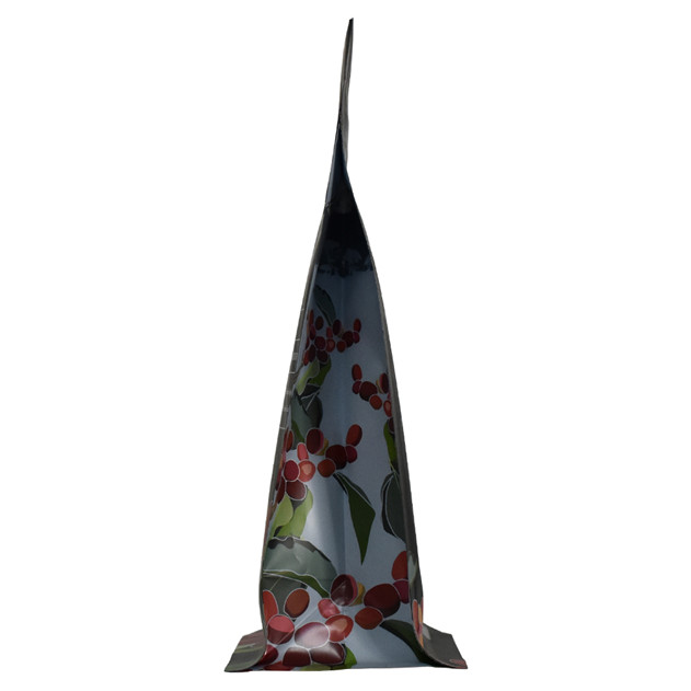 Wholesale Eco Friendly Laminated Material Printed Kraft Paper Bag with Tear Notch