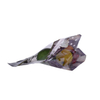 Top Quality Natural Retail Recyclable Plastic Grape Bag