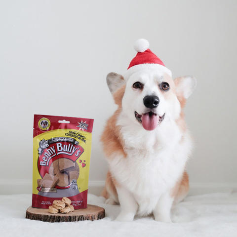 Alibaba Hot Number Ldpe 4 Recyclable Plastic Pet Food Stand Up Pouch