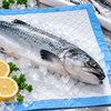Absorbent Pads for Fresh Seafood