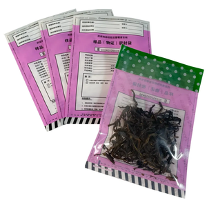 Tamper Proof Security Bags